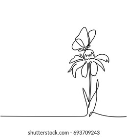 Beautiful flower Echinacea and