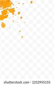 Beautiful Flower Falling Vector Transparent Background. Blur Narcissus Wallpaper. Delicate Petal Dutch Poster. Yellow Tulip Fall Pattern.