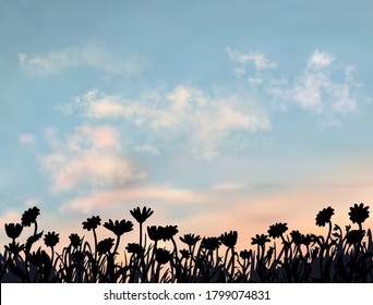 Beautiful flower field under the summer sunset sky with light clouds on it. Silhouettes of camomile in front of realistic vector skyscape. Nice background for your work.