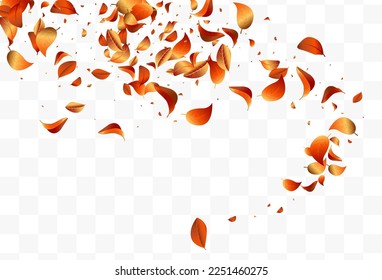 Beautiful Flower Flying Vector Transparent Background. Tender Sakura Cover. Delicate Cherry Japan Template. Pink Blossom Falling Frame.
