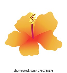 beautiful flower garden gradient style icon vector illustration design