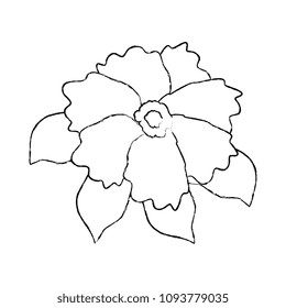 beautiful flower garden icon