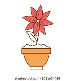 beautiful flower garden in pot