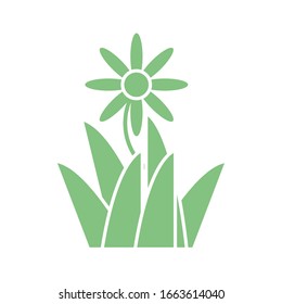 beautiful flower and grass icon over white background, silhouette style, vector illustration