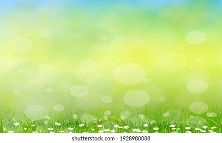 Beautiful flower and grass in the season spring or summer, spring background and summer background.