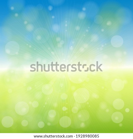 Beautiful flower and grass in the season spring or summer, spring background and summer background.