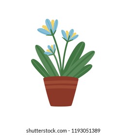 Beautiful flower with green leaves in brown ceramic pot. Small decorative houseplant. Flat vector element for home decor