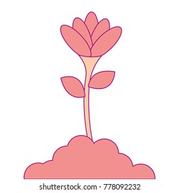 beautiful flower in grown