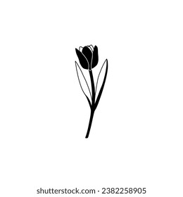 the beautiful flower hand drawn vector illustration on white background.