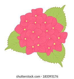 beautiful flower hydrangea isolated on white background . Hand-drawn contour lines and strokes.
