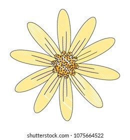 beautiful flower icon