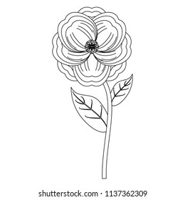 beautiful flower icon