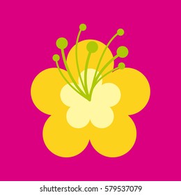 beautiful flower icon