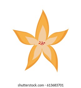 beautiful flower icon