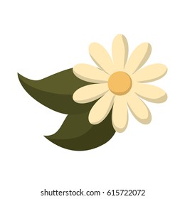 beautiful flower icon