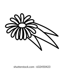 beautiful flower icon