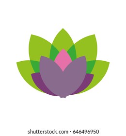 beautiful flower icon