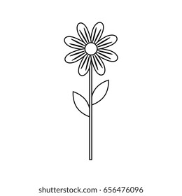 beautiful flower icon