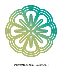 beautiful flower icon 