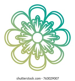 beautiful flower icon 