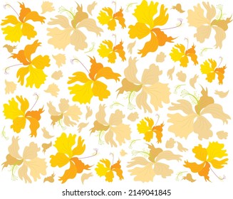 Beautiful Flower, Illustration Background of Fresh Yellow Hibiscus Flowers, Rose Mallow or Bunga Raya.
