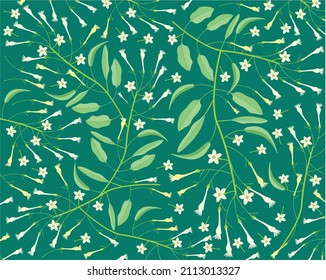 Beautiful Flower, Illustration Background of White Tuberose Flowers or Night Blooming Jasmine with Green Leaves.
