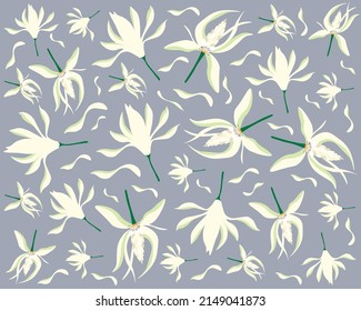 Hermosa Flor, fondo de ilustración de Michelia Alba blanca o Flores de Champaca blanca con hojas verdes.
