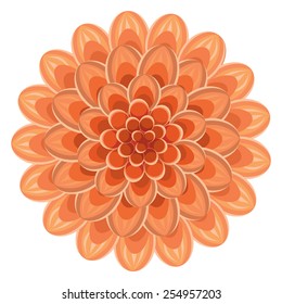 Beautiful flower illustration. Dahlia drawn in graphical style contours and lines, isolated on background. Floral vector illustration.