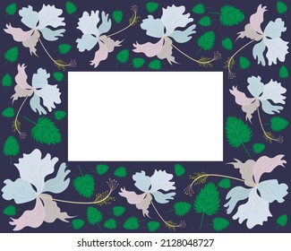Beautiful Flower, Illustration Frame of Fresh Colorful Hibiscus Flowers, Rose Mallow or Bunga Raya Isolated on A White Background.
