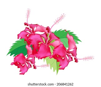  Gambar  Bunga  Vektor Gambar  Bunga 