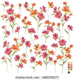 Beautiful flower illustration material collection,