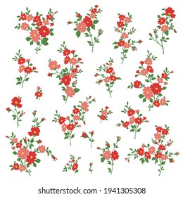 Beautiful flower illustration material collection,