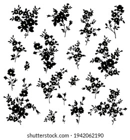 Beautiful flower illustration material collection,