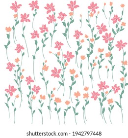 Beautiful flower illustration material collection,