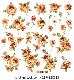 Beautiful flower illustration material collection,
