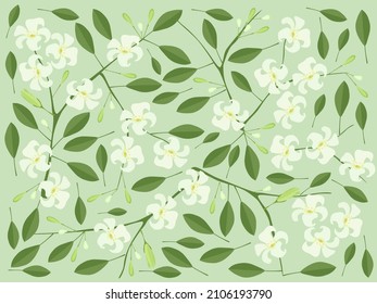 Beautiful Flower, Illustration of Orange Jasmine or Mock Orange Flowers Background.
