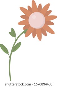 Beautiful flower, illustration, vector on white background.