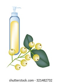 Beautiful Flower, Illustration of Yellow Aglaia Odorata Flower or Chinese Perfume Plant with Green Leaves Isolated on White Background.
