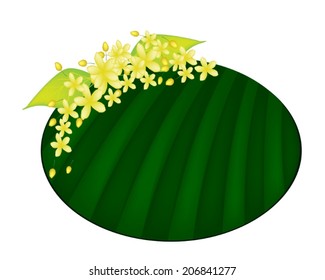 Beautiful Flower, Illustration Yellow Color of Cassia Fistula or Golden Shower Flower on Green Banana Leaf Isolated on A White Background 