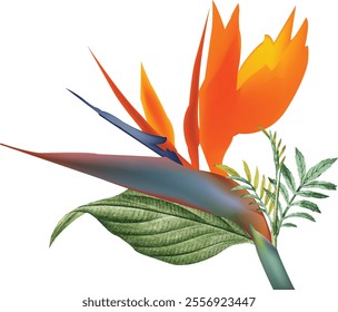 A beautiful flower illustrations and eps, vector