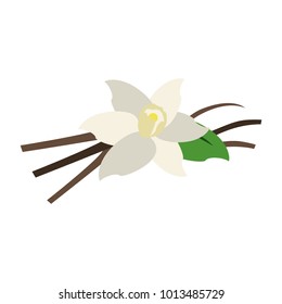 Beautiful flower isolated