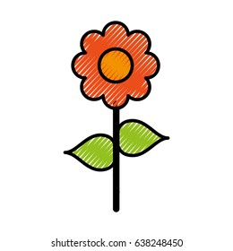 Beautiful flower isolated