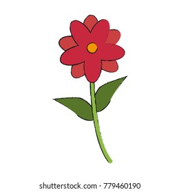 Beautiful flower isolated
