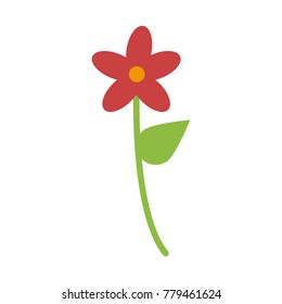 Beautiful flower isolated