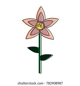 Beautiful flower isolated