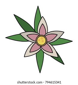 Beautiful flower isolated