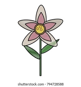Beautiful flower isolated