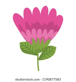 beautiful flower isolated icon