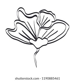 beautiful flower isolated icon