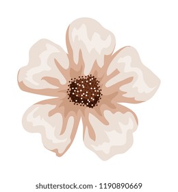 beautiful flower isolated icon